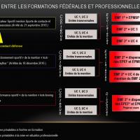 Tableau relationnel des formations feferales et professinelles bpjeps